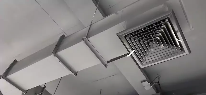 Our Pest Removal From Ducts Services in Waterbury, CT