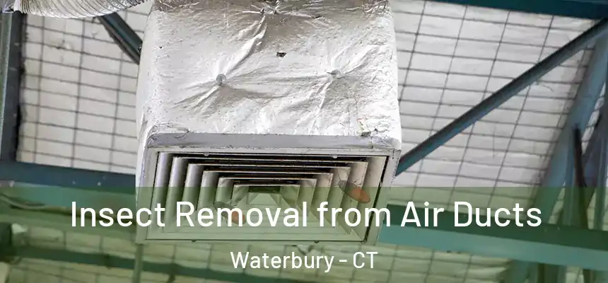  Insect Removal from Air Ducts Waterbury - CT
