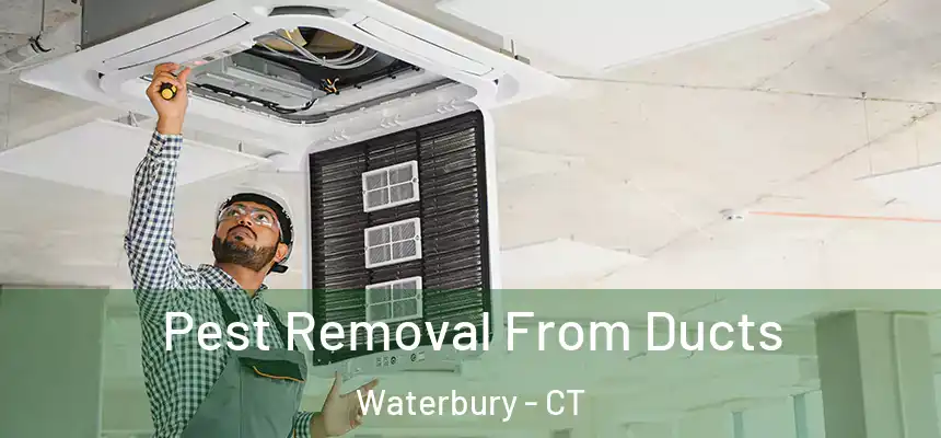  Pest Removal From Ducts Waterbury - CT