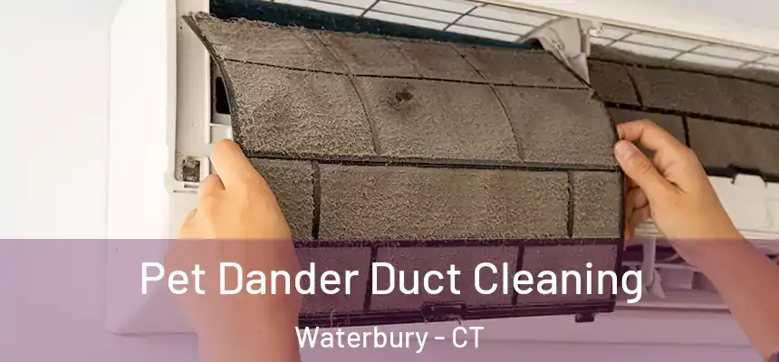  Pet Dander Duct Cleaning Waterbury - CT