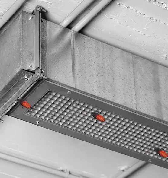Affordable Insect Removal from Air Ducts in Waterbury, CT