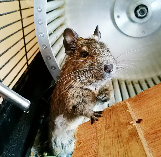 Why Homeowners & Businesses Trust Us Waterbury, CT?